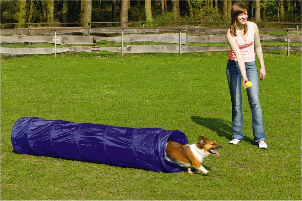 Beeztees Agility Tunnel Small 198 cm