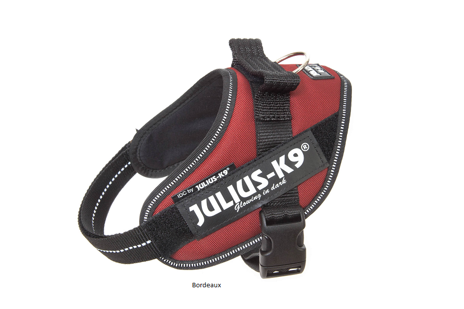 Julius-K9