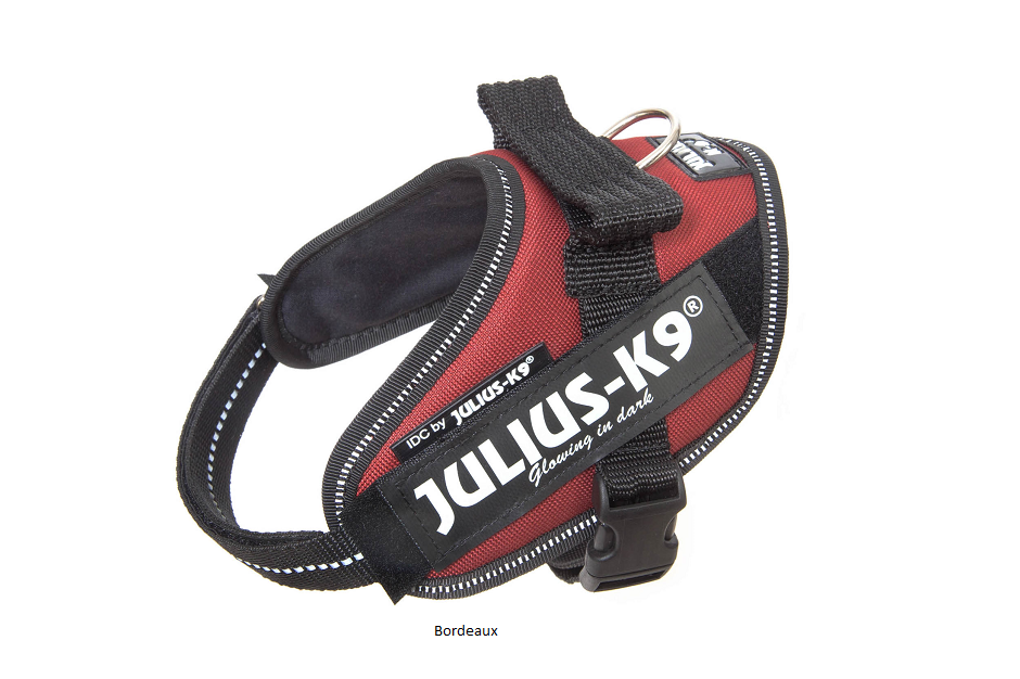 JK9 IDC POWAIR kutyahám felirattal, méret 3XS neon