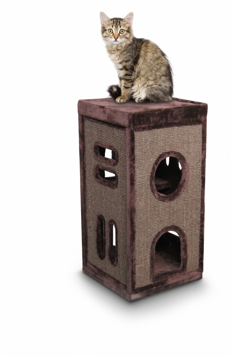 EBI (Europet Benina) EBI (Europet Benina)