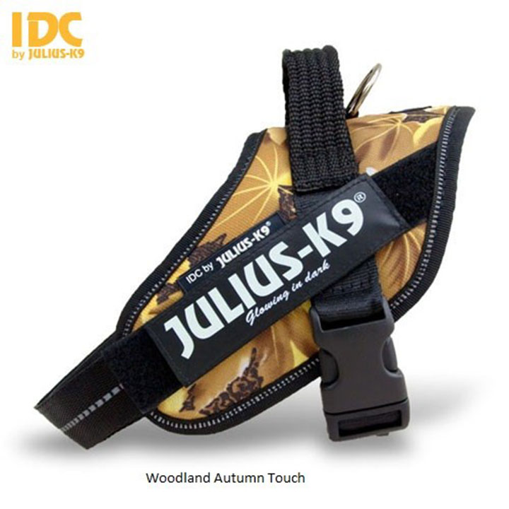 Julius-K9 design en kleur