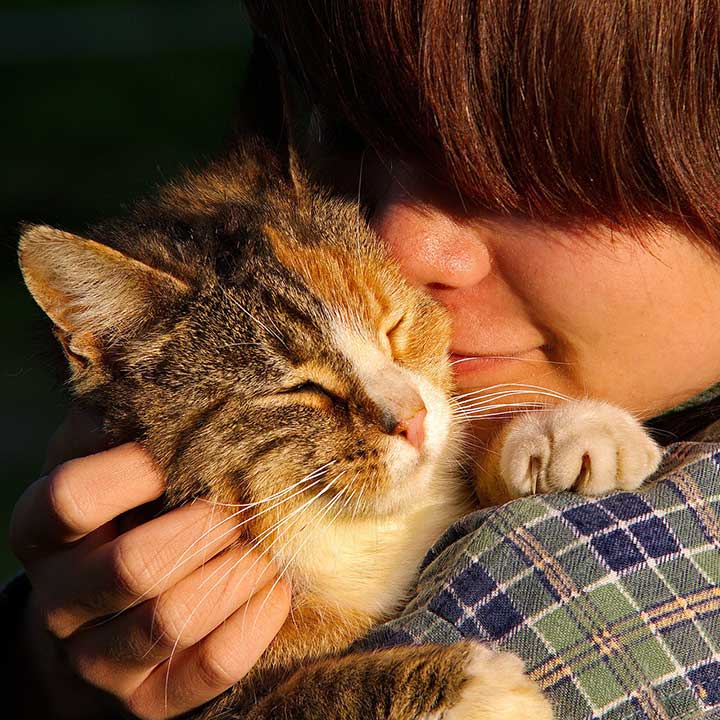 Katten en mensen Katten en mensen