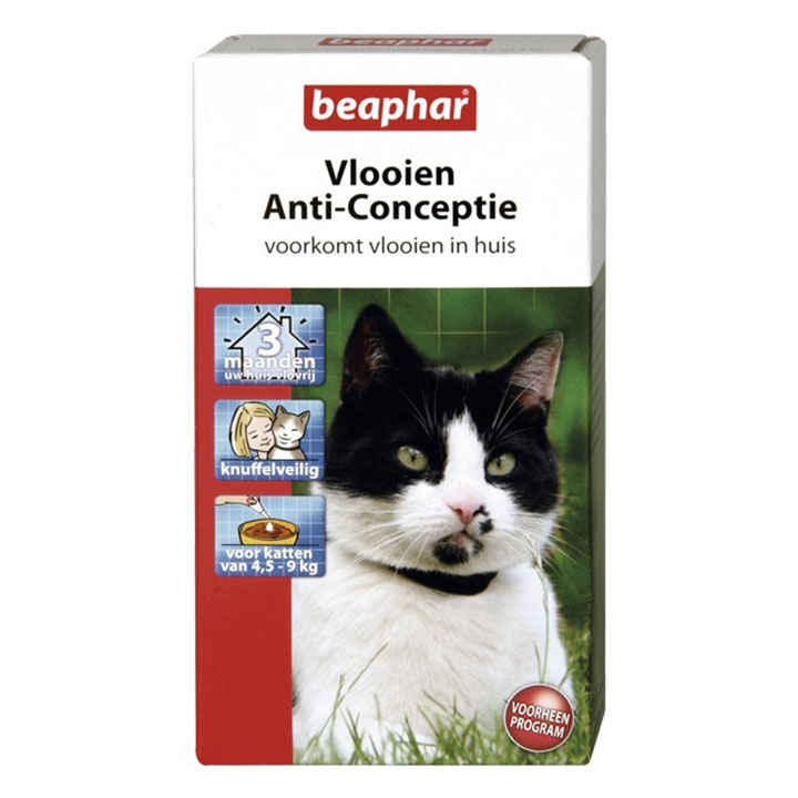 Kattenvlooien Kattenvlooien