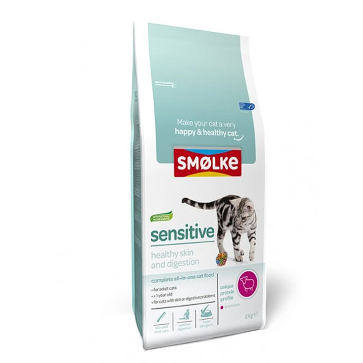 Wat voor kattenvoer hebben binnenkatten nodig?