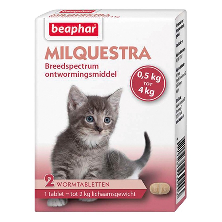 Ontwormen kittens Ontwormen kittens