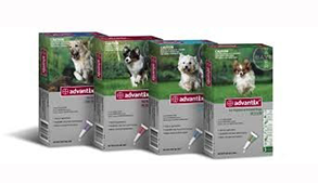 Vlooien bestrijden met Advantix Vlooien bestrijden met Advantix