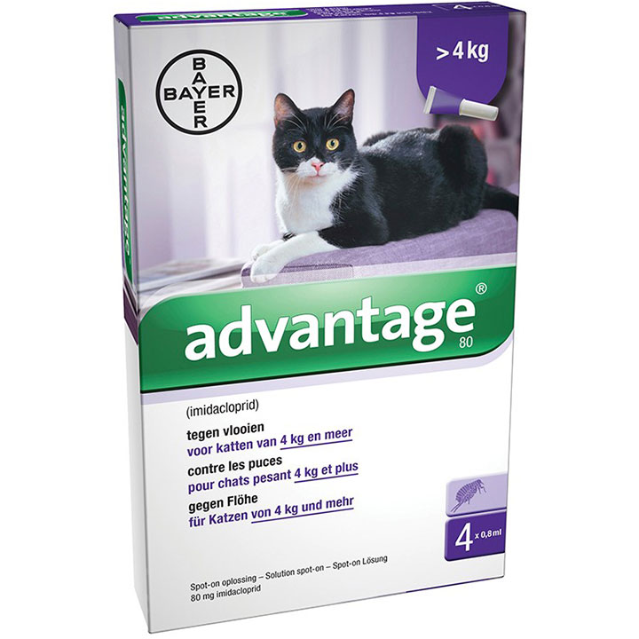 Vlooiendruppels kat Vlooiendruppels kat