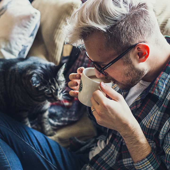 Communiceren met katten